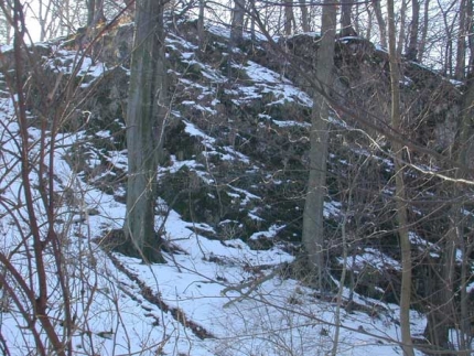 Bild 3 von Massenkalkklippen am Steinbruch Düstertal bei Bleiwäsche